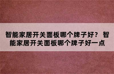 智能家居开关面板哪个牌子好？ 智能家居开关面板哪个牌子好一点